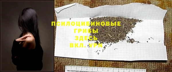прущая мука Арсеньев
