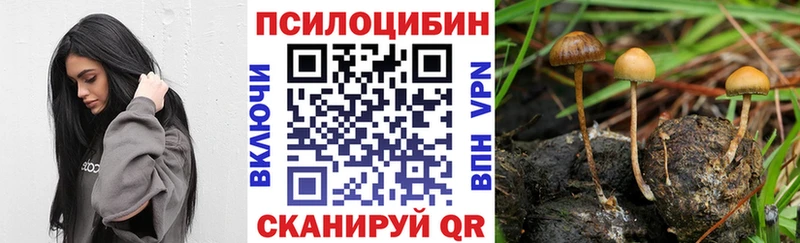 Псилоцибиновые грибы MAGIC MUSHROOMS Болгар