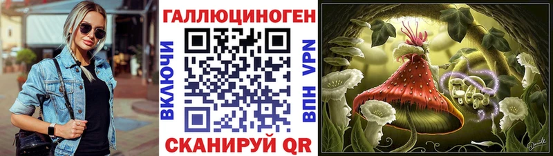 Псилоцибиновые грибы Cubensis  наркотики  Болгар 